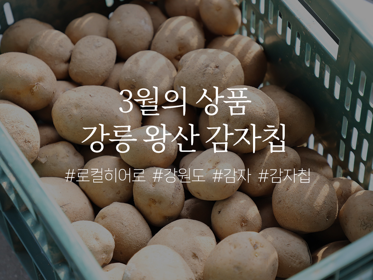3월 '왕산 감자칩'